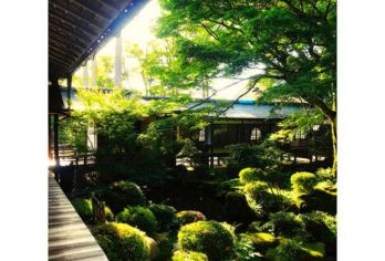 日本京都-琉璃光院-三千院-贵船神社-红叶满天 京都巡礼【专业行程定制，精选热门景点，高效游玩不走回头路，贴心服务保障，轻松】