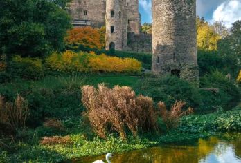 爱尔兰+都柏林国际机场（香农/科克)接机/送机+/定制行程【VIP包车 行程自由 酒店接送】