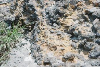 日本九州-熊本市区-熊本城-熊本熊广场-水前寺成趣园-精品游【专业行程定制，精选热门景点，高效游玩不走回头路，贴心服务保障，轻松】