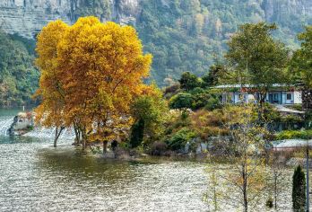 【重庆南川金佛山一日游】西坡上山|穿越原始森林（可英文导游）【专车服务，上门接送，纯玩0购物。】