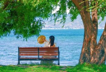 大理环洱海包车一日游：上门接送+景点任选+一单一团纯玩无购物【[可定制路线]苍山，崇圣寺三塔，文笔村，廊桥，磻溪S湾，喜洲古镇，大理古城，双廊，南诏风情岛】