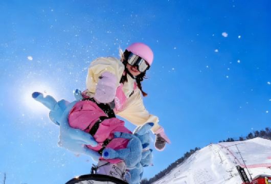 亚布力一日游【滑雪3小时，中餐，导服，往返车】D【地道美食：东北特色铁锅炖】