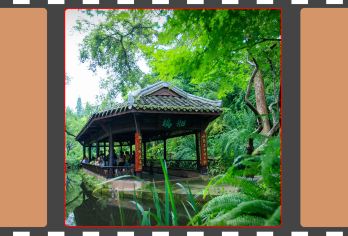 【万卷说】三苏祠博物馆/文史讲师/人工讲解/散客拼团不含票【[精讲传神]持有国家导游证\讲解证，经验丰富，专业讲解，让每次驻足聆听都成为旅程中的悦享时光。】