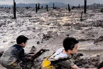 福建宁德霞浦牛屿滩涂赶海体验【赶海工具+渔民向导+清洗费】【团队家庭出游优选，周末周边游的优选】