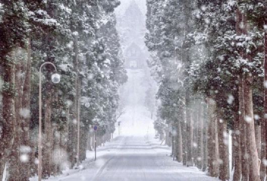 日本札幌出发打卡小樽积丹半岛/可登别富良野北海道多日包车精选【包车一日游，解锁旅行新方式！独立车辆配备经验丰富的老司机，为您量身打造专属行程。】