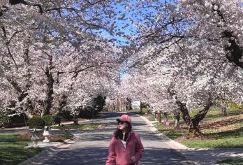 美国华盛顿-白宫-国会山-华盛顿纪念碑等景点可包车-精选【专属客服和本地中文司机，一家一团包车】