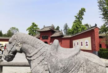 洛阳十字街+白马寺+丽景门+神州牡丹园包车一日游-可英文服务【可提供英文及小语种导游服务-往返接送-可选导游-可代订门票】