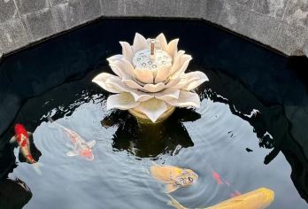 西安城墙+洒金桥+广仁寺+驼铃传奇一日游【古城邂逅城市烟火】【一座承载着历史与信仰得藏传佛教，神秘而庄严；红墙金顶与蓝天白云相互映衬，如诗如画。】