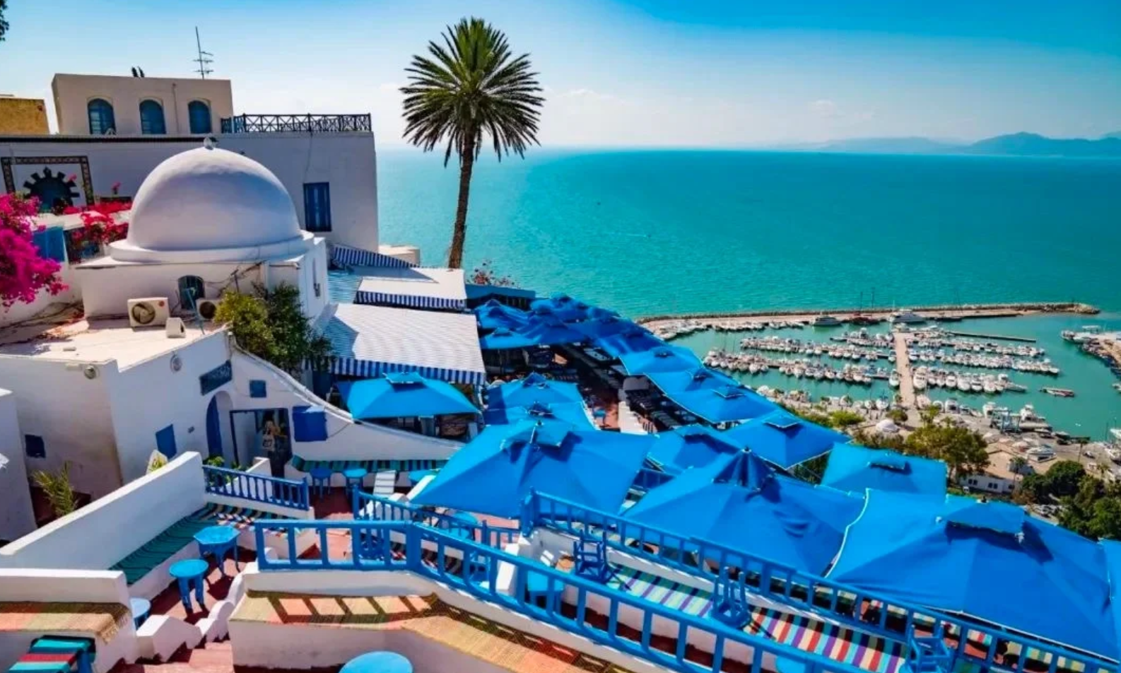 突尼斯+迦太基古城+蓝白小镇+中文服务+VIP独立包车一日游