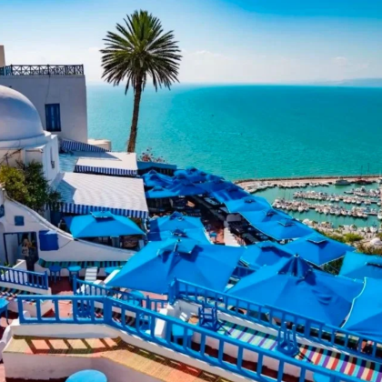 突尼斯+迦太基古城+蓝白小镇+中文服务+VIP独立包车一日游