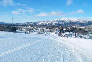 亲子游|郡上八幡古街＋牧歌之里冰雪乐园玩雪＋温泉｜名古屋往返【漫步郡上八幡古街，感受百年历史氛围｜牧歌之里冰雪乐园尽情玩雪、与萌宠互动｜享受温泉，放松身心】