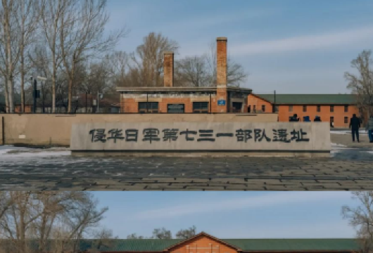 731部队遗址【人工精讲1.5小时+献花+耳麦】不含陈列馆【专业老师1.5小时深度讲解731历史 配备高品质耳麦 大人小孩 老人聆听不受限 一起探寻历史遗迹】