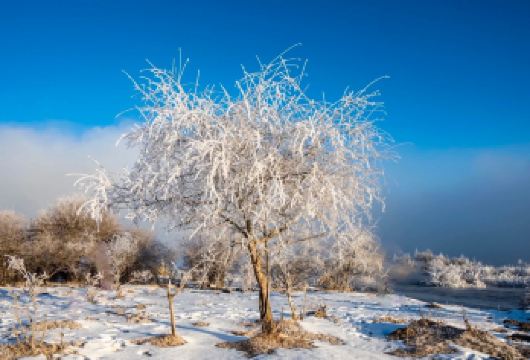 雾凇雪山·岗什卡七彩冰瀑布+连心湖+免费骑马体验【精品纯玩小团/封顶8人上门接/赠送骑马体验(不走圈哦)】