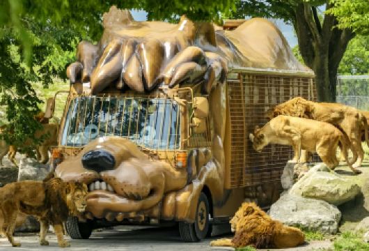 九州别府地狱+自然动物园+汤布院一日游丨可体验由布院之森列车【穿梭由布院之森列车，邂逅温泉小镇的童话时光与萌趣动物园】