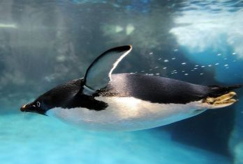 海洋生物博物馆+鹅銮鼻公园+垦丁拼车一日游【高雄出发】【没有购物和自费商品的压力】