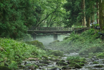 湖南张家界 天门山 武陵源 旅游翻译 专业导游 独立包车xx【品质出游】