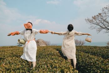 崂山仰口太清一日游【纯玩 含门票 可升级6人团 /醉美公路】【[升级体验]一站直达崂山，市区无加点，拒绝套路】