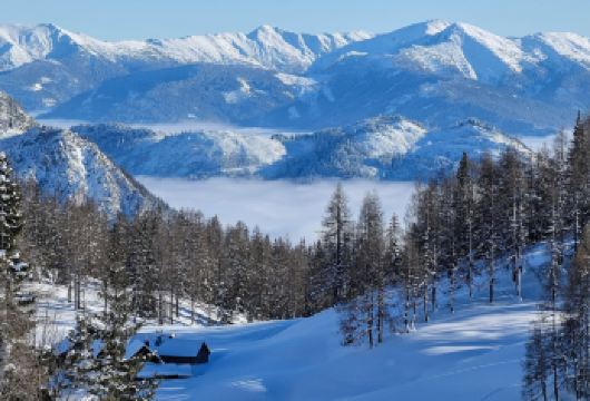 挪威多地往返+塞尼亚岛+senja岛【多/日可定】中文司导【[1人起订，轻松跟团]无需拼单等待，1人也可报名出行，满足个人及小团体需求】
