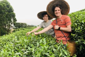 乐山大佛和茶园一日游（失落小镇）【乘船游览乐山大佛全景，避开人群。 漫步于悠闲的老城区，品尝美味的当地街头小吃。 在鲜为人知的茶园里，体验采茶、制茶和品茶的整个过程。】