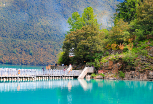 林芝出发丨巴松措.鲁朗小镇.大峡谷纯玩游丨索松村南峰日落星空【车游大峡谷，观别样峡谷风貌，漫步巴松措，观湖心岛醉美湖泊】