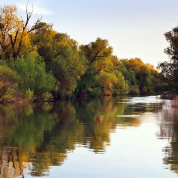 阿根廷 布宜诺斯艾利斯出发 蒂格雷三角洲半日游 含游船