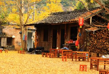 腾冲火山公园+银杏村+土陶非遗+下午茶秋趣非遗一日游【[贴心服务]高品质服务，轻奢1日游，海底捞式服务， 省时、省事、省心】