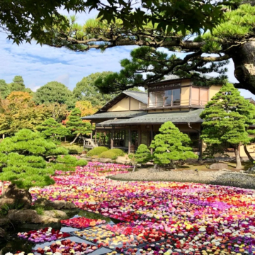 【境港邮轮到港游】松江城-城山公园-由志园-水木茂大道|拼团