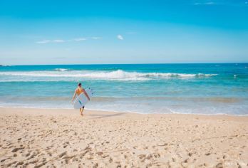 悉尼歌剧院+邦迪海滩+悉尼塔+塔龙加动物园+达令港｜包车游※【全维度悉尼：地标·艺术·互动·全景·海滩，一日阅尽南半球都市魅力，亲子游闺蜜游情侣游优选】