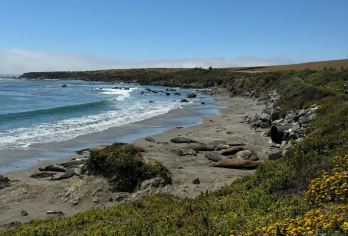 美国旧金山-半月湾-蒙特雷-卡梅尔-1号公路可多日包车-精选【专属客服和本地中文司机，一家一团包车】