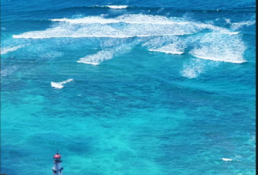 夏威夷欧胡岛日游威基基海滩+钻石头山+古兰尼牧场+伊奥拉尼宫【[定制包车游]专享中文司机独立包车，市区范围酒店上门接送，行程路线可根据个人需求调整。】