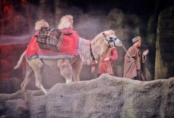 【尊享8人小团】兵马俑+丽山园+陶俑手工+驼铃传奇演出一日游【[专属小团服务] 严选小团规模，打造精致出游体验；配备在线管家随时响应需求，西安市三环以内上门接送。】