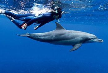 埃及红海追海豚出海一日游 赫尔格达浮潜游艇出海珊瑚礁【[醉美红海]红海是世界三大海滨胜地之一，欧洲的后花园】