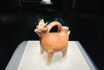 【山东博物馆】“寻宝记”中高级讲师精讲 精致小团 赠精美文创【赠送精美文创(儿童专享）给您的山东博物馆之旅留下美好回忆】