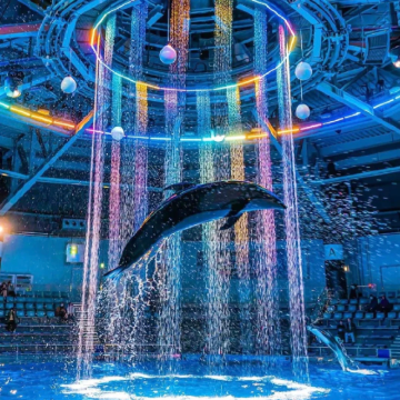 【含门票·可升级小团】冲绳北部一日游水族馆古宇利岛万座毛