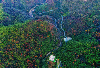 铁冲杜鹃岭+龙津溪地一日游【1-6人包团|轻奢自由纯玩】【心旷神怡，自然洗礼，微风拂面， 快乐自己，置身于杜鹃花的海洋，万紫千红，陶醉自我。】