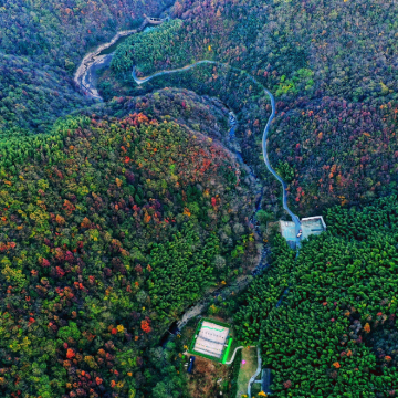 铁冲杜鹃岭+龙津溪地一日游【1-6人专享团|轻奢自由赏花季】