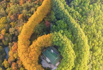 南京：南京城墙+鸡鸣寺+玄武湖+南京博物馆  导游/包车 G【全程中文/英文/俄语/小语种服务，沟通无障碍，景点可调,多种车型可选】