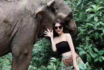 野象谷+西双版纳原始森林公园一日游【平台精选丨纯玩无购物】【[优选看点]上午走进野象谷，零距离接触野象，下午走进森林公园，欣赏孔雀放飞】