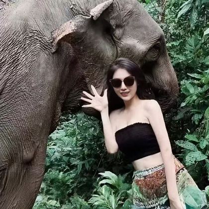 野象谷+西双版纳原始森林公园一日游【平台精选丨纯玩无购物】