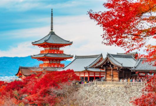 日本京都祗园+奈良全景一日游，喂小鹿，可选9人小团酒店接送【一天之内游遍关西精华，去清水寺怀古，在祗园与艺伎们擦肩，稻荷大社见鸟居，奈良公园喂萌鹿】