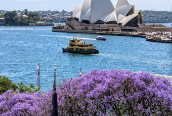 悉尼市区经典一日游【邦迪海滩+鱼市+歌剧院+海港大桥】【四人成团·中文司导·天天出发·大小同价】