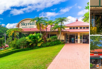 凯恩斯-库兰达雨林奇境亲子1日游+包车接送【在原住民导游的带领下，一窥原始的澳洲原住民文化与体验，可与其共舞，及体验扔掷武器和吹奏乐器。】