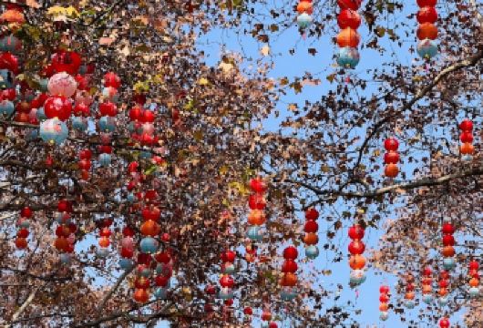 黄山出发包车10小时一日游翡翠谷+九龙瀑|可安排汤口镇出发【翠谷银瀑双绝景，黄山脚下画中行。】