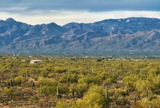 美国凤凰城-周边沙漠植物园等-沙漠与城市风光线-包车-精选【专属客服和本地中文司机，一家一团包车】