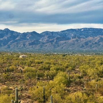 美国凤凰城-周边沙漠植物园等-沙漠与城市风光线-包车-精选