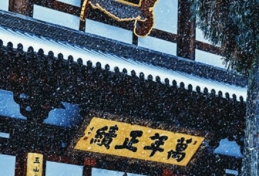 径山景区径山寺半日游（可选散拼/包团）含景区接驳+人工讲解【纯玩小团：10人内精致纯玩小团，听得更清楚，行程更灵活；】