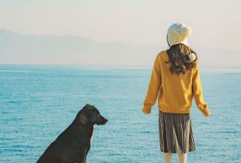 赛里木湖一日游-可选豪华车型/日落套餐-环湖游玩+小团【[不同套餐]可选普通车型，豪华车型，体验帆船等套餐】