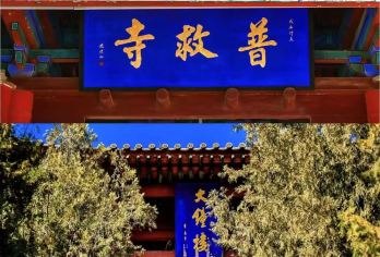 【特惠】永乐宫+广仁庙+普救寺+鹳雀楼+大铁牛+关帝庙+盐湖【[品质保证]无购物无自费，没有任何隐形购物店，杜绝走马观花，深度欣赏国保文化景点。】