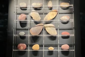 金沙遗址博物馆半日游【精品小团+深度讲解】【[品质保障]优选商品，品质拒绝购物 、无自费】