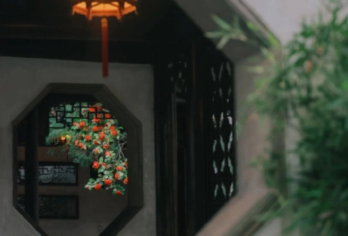 留园半日游【1小时人工精致讲解丨可选拼团&私家团丨不含门票】【[专业讲解]把历史作为故事讲解给您听，专业导游，精品小团，无线耳麦，拒绝嘈杂混乱~】